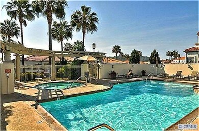 Beautiful Olympic size Association Pool and Spa