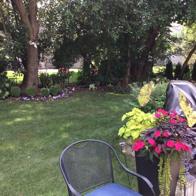 Backyard In Bloom
