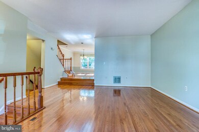 8111 Squirrel Run Rd, Springfield, VA 22152 - photo 6