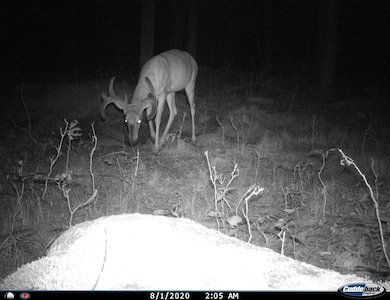 0 Beetle Creek Rd unit 22202013, Tigerton, WI 54486 - photo 7