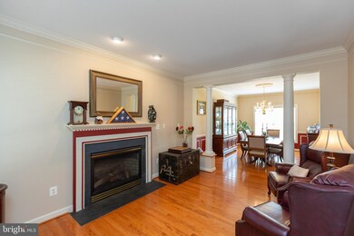 1541 Star Stella Dr, Odenton, MD 21113 - photo 7