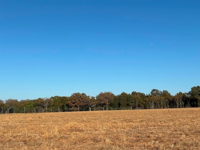 000 Fm 1653, Ben Wheeler, TX 75754 - photo 3