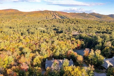 17 Purple Finch Rd, Conway, NH 03860 - photo 2