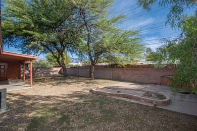 backyard-5