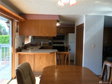 338 N Lyle Ave, East Wenatchee, WA 98802 - photo 4