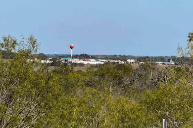 2929 Farm To Market Road 2146, Poteet, TX 78065 - photo 2