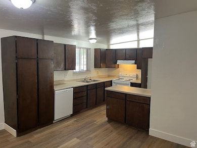 Kitchen with light countertops, dark brown cabinets, white appliances, dark wood finished floors, and a textured ceiling