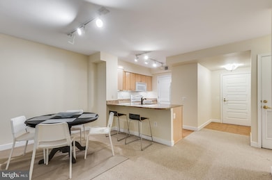 The Lafayette at Penn Quarter unit 230, Washington, DC 20004 - photo 6