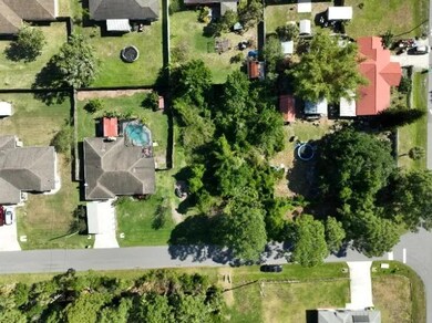 Bird's-Eye D2