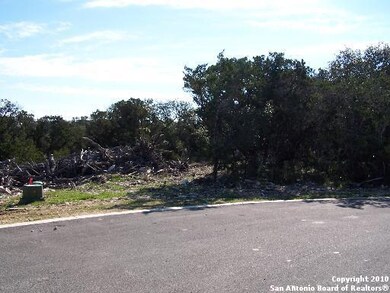 19414 Terra Stone, San Antonio, TX 78255 - photo 5