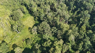 DJI_20250722102943_0246_D