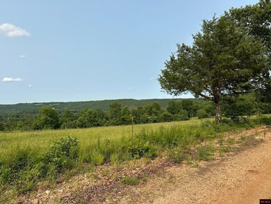 001-07371-001 Mc 5014, Everton, AR 72633 - photo 5