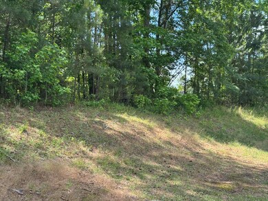 0 Mount Vintage Plantation Dr unit 541851, Edgefield, SC 29860 - photo 3