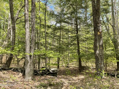 unlisted-address, Cummington, MA 01026 - photo 4