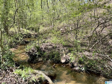 Tract 3 County Road 268 unit 3, Roanoke, AL 36274 - photo 4