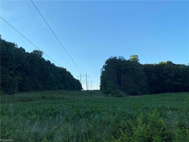 0 Ether Rd, Star, NC 27356 - photo 3