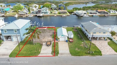 Mangrove Lot 6 front