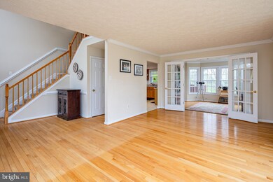 7425 Bucks Haven Ln, Highland, MD 20777 - photo 4