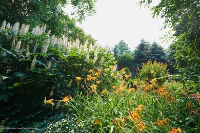 Echoes of Provence