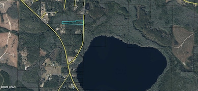 Lot 1 Lakeview Rd, Caryville, FL 32427 - photo 7
