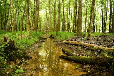 0 Glendale Rd unit LotWP001 23604181, Morris Chapel, TN 38361 - photo 6