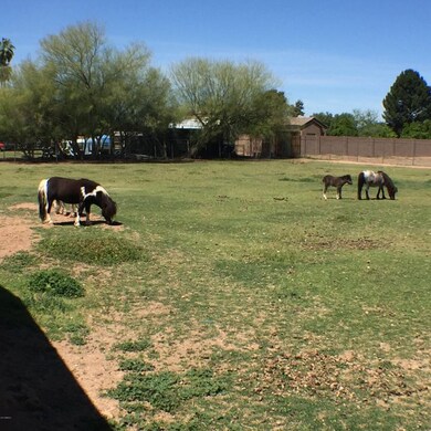 Plenty of room for all of your animals
