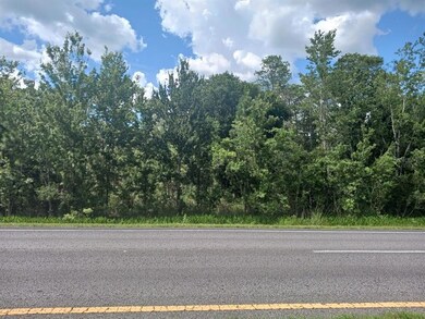 E Colonial Dr Roadway View