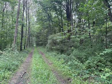 9283 E 250 S, Pierceton, IN 46562 - photo 2