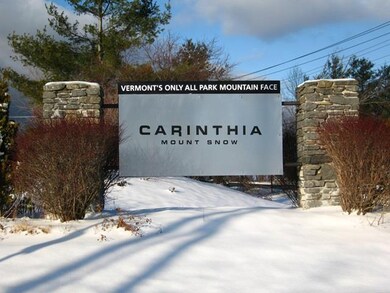 Lot 4 Encore Place unit 4, Dover, VT 05356 - photo 6