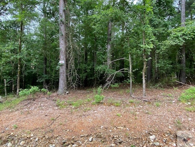 Lot 40 Hidden Acres, Hochatown, OK 74728 - photo 3