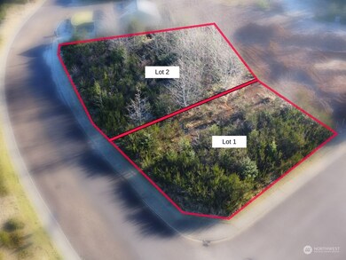 0 Sanderling (Lot 2) Dr, Hoquiam, WA 98550 - photo 6