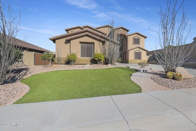 Beautiful front yard