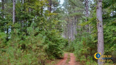 0 Dawkins Rd, Pacolet, SC 29372 - photo 7