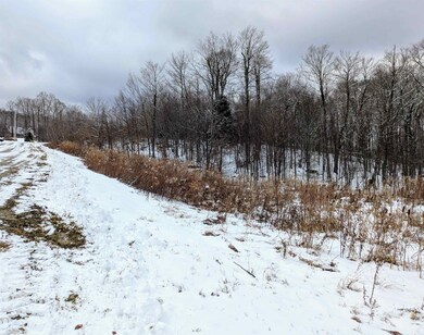 41 Moose Hollow Rd, Winhall, VT 05340 - photo 6