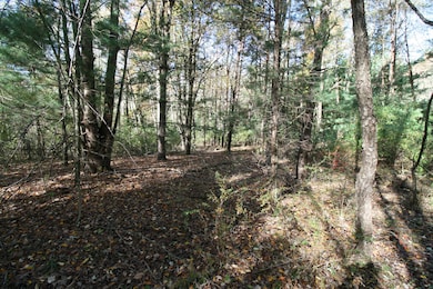 B.1 111th Ave, South Haven, MI 49090 - photo 4