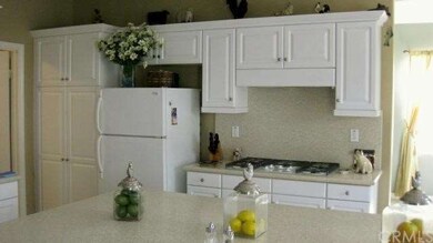 Cook Top / Back Splash
