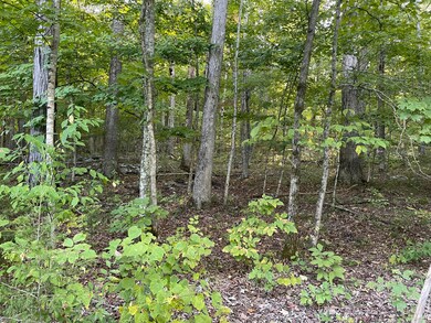 Tract 5 Cumberland Ridge Dr, Somerset, KY 42501 - photo 3