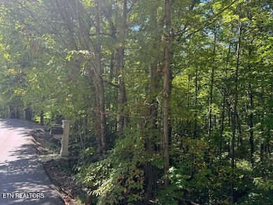 Lot 17 Deer Path Ln, Gatlinburg, TN 37738 - photo 3