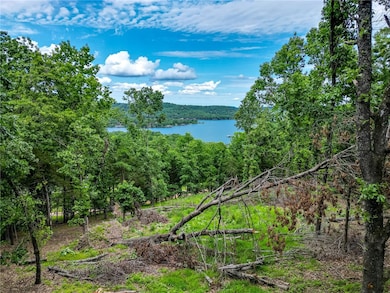 Moulder Hollow Lake View