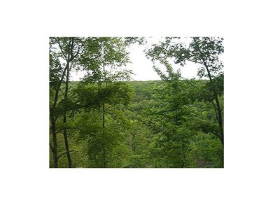 unlisted-address, Greenland, AR 72774 - photo 2