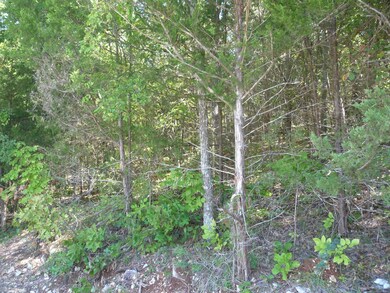 Tbd Kimberling Hills, Kimberling City, MO 65686 - photo 7