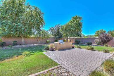Backyard2