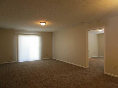 3169 Bristlecone Ct, Whiteland, IN 46184 - photo 6