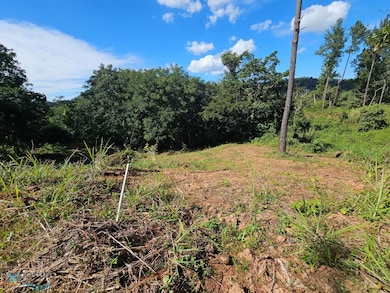 Km 1.65 Calle Reinita unit Parcela A, Moca, PR 00676 - photo 6