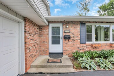 37-web-or-mls-0D3A3734