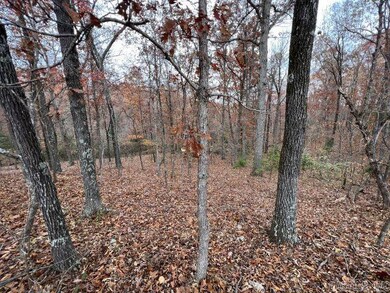 TBD Banks Rd, Hardy, AR 72542 - photo 7