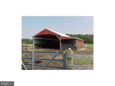 17039 Seashore Hwy, Georgetown, DE 19947 - photo 7