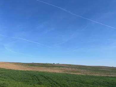 IMG_0919