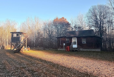 1287 Trinity Pines Ln NW, Backus, MN 56435 - photo 5