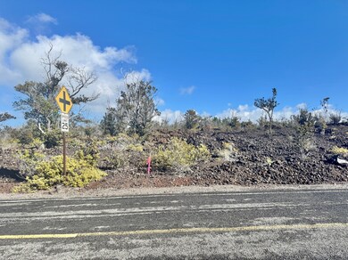 The top section of Lot 30 for 20K  is also the bottom of Lot 31 which is also for sale for 20K.  Both Lot 31 and 30 in Block 145 are 89' x 489', in Lava Zone 2 and Flood Zone X.